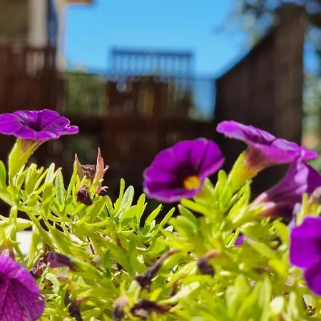 Apartamento Natalija *