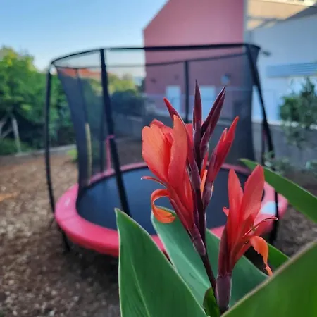 Apartamento Natalija *