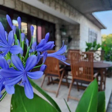 アパート Natalija