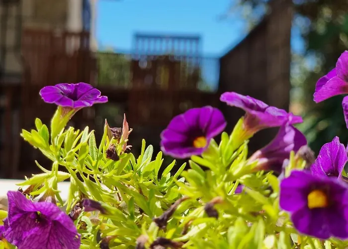 Appartement Natalija *