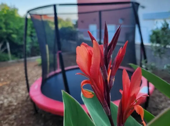 Appartement Natalija *